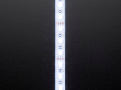 Analog RGBW LED Strip - RGB Plus Cool White - 60 LEDs/m 1m - 8