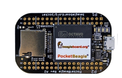 Beaglebone PocketBeagle - 1